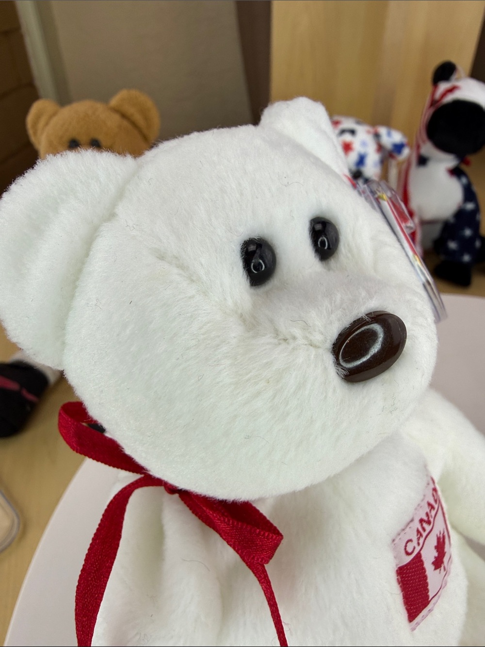 🍁MAPLE - C.C.T. - PVC - Picture 10 of 10